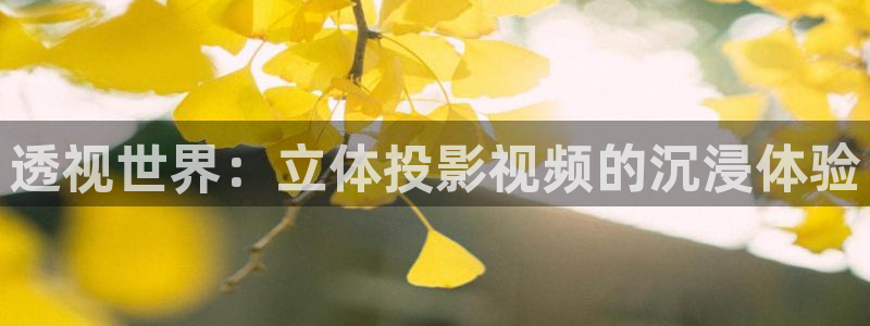 奇奇影院官网：透视世界：立体投影视频的沉浸体验