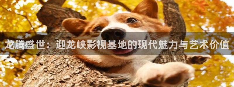 777米奇奇米影视四色官网：龙腾盛世：迎龙峡影视基地的现代魅力与艺术价值