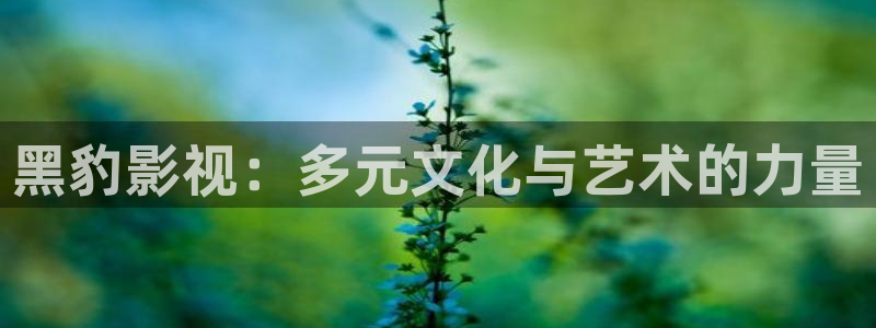 奇奇米影视第四色：黑豹影视：多元文化与艺术的力量