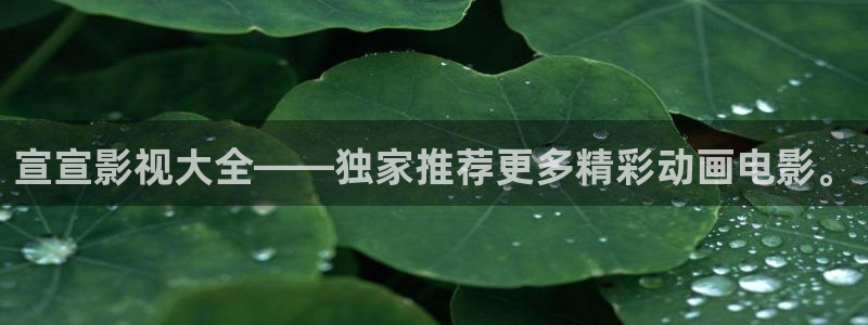 奇奇米影视第四色：宣宣影视大全——独家推荐更多精彩动画电影。
