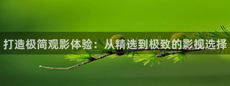 奇奇影院在线播放：打造极简观影体验：从精选到极致的影视选择