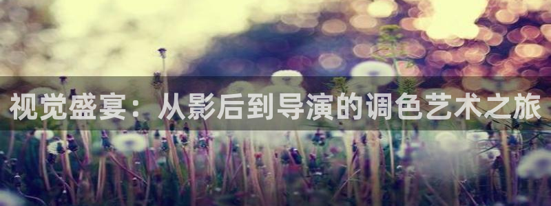 奇奇网影院：视觉盛宴：从影后到导演的调色艺术之旅