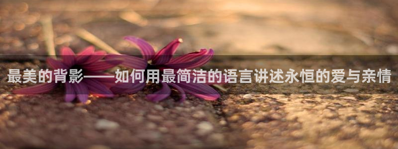 奇奇理论影院：最美的背影——如何用最简洁的语言讲述永恒的爱与亲情